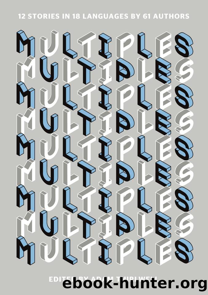 Multiples by Adam Thirlwell & al