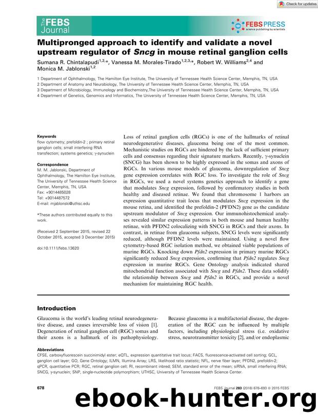 Multipronged approach to identify and validate a novel upstream regulator of Sncg in mouse retinal ganglion cells by Unknown