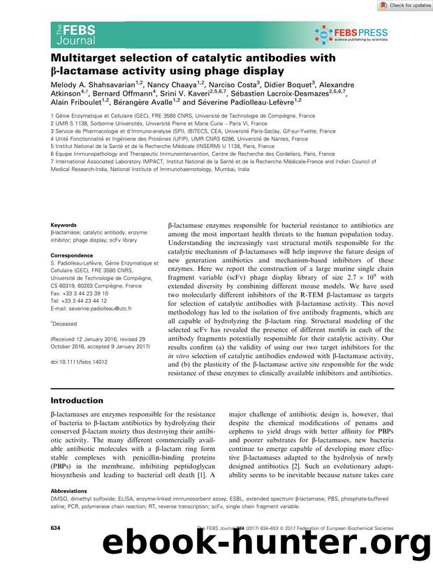 Multitarget selection of catalytic antibodies with Î²âlactamase activity using phage display by Unknown