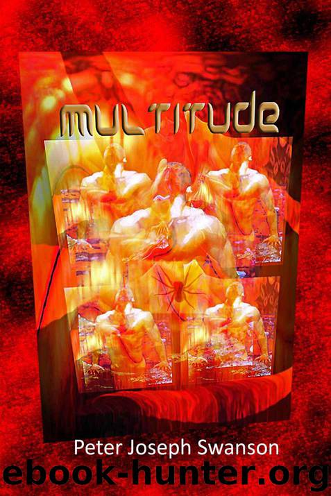 Multitude by Swanson Peter Joseph