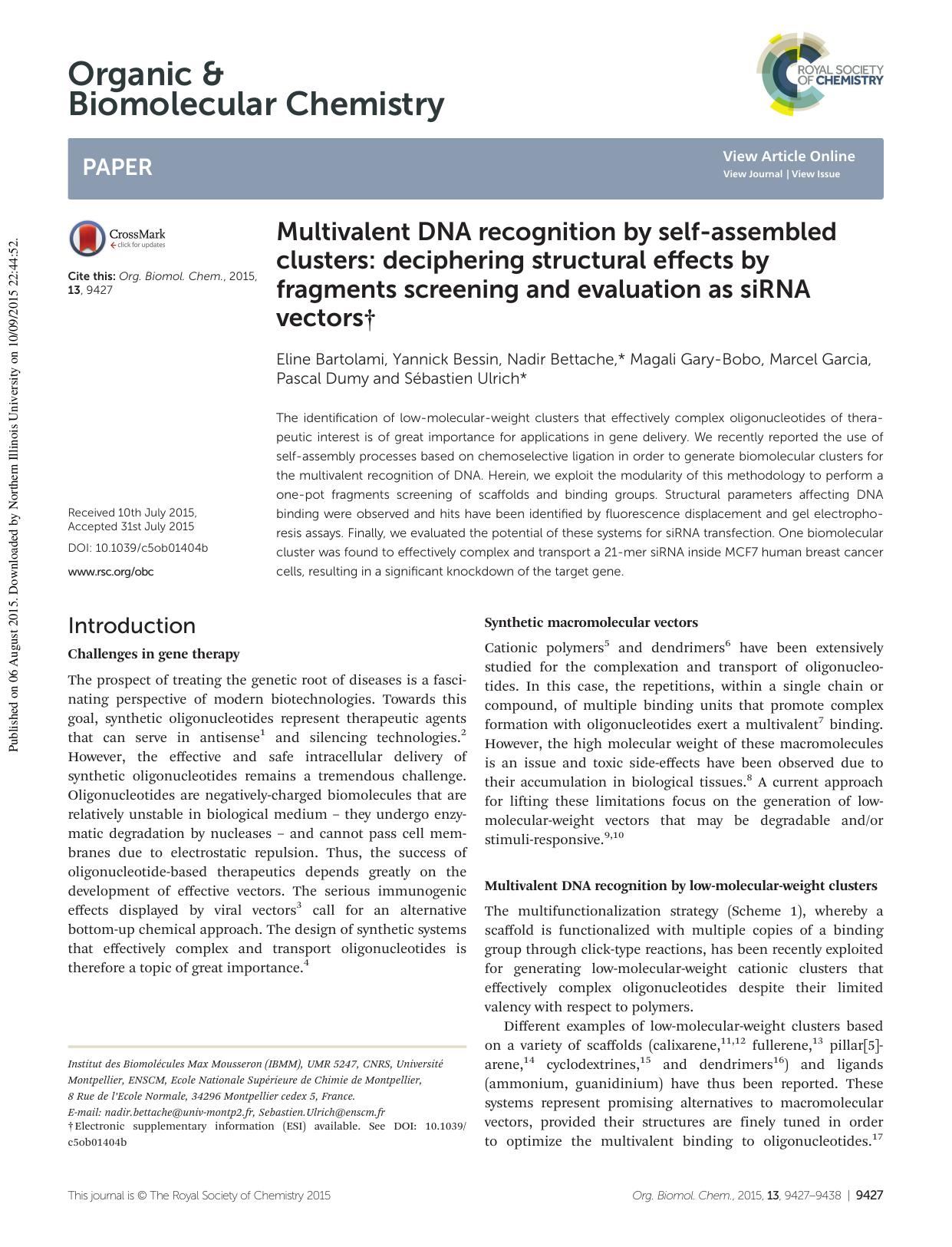 Multivalent DNA recognition by self-assembled clusters: deciphering structural effects by fragments screening and evaluation as siRNA vectors by unknow