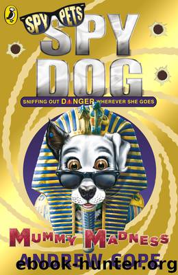 Mummy Madness by Andrew Cope