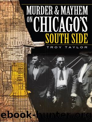 Murder & Mayhem in Chicago's South Side by Troy Taylor