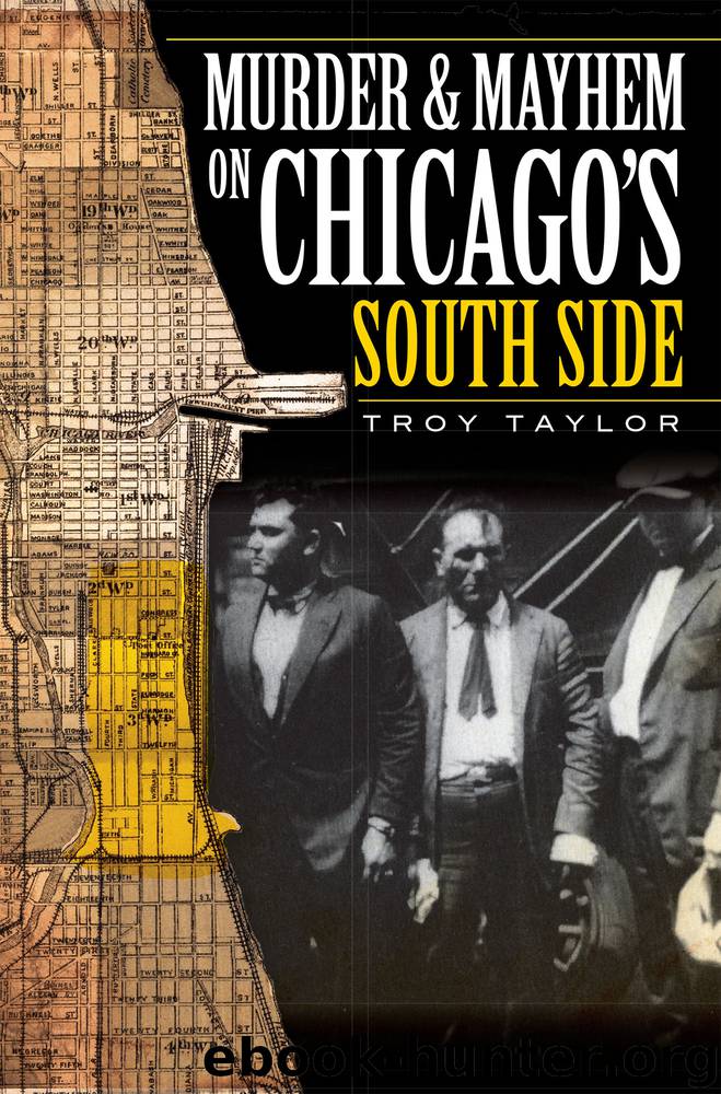 Murder and Mayhem on Chicago's South Side by Troy Taylor