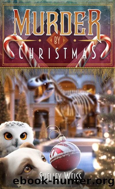 Murder by Christmas by Shelley Weiss