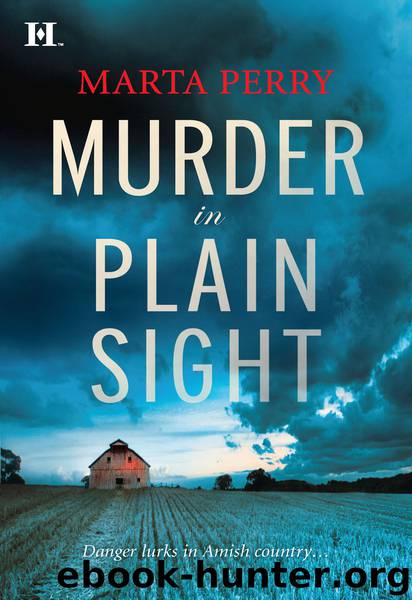 Murder in Plain Sight (2010) by Perry Marta