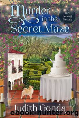 Murder in the Secret Maze by Judith Gonda