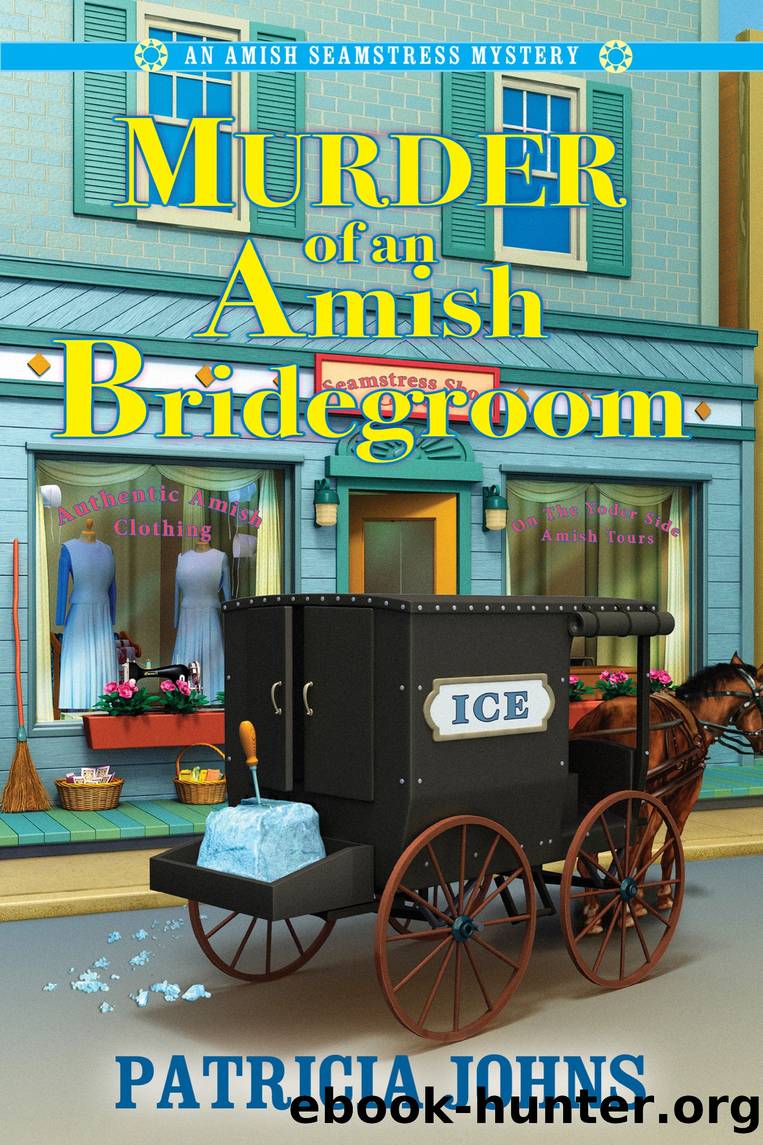 Murder of an Amish Bridegroom by Patricia Johns