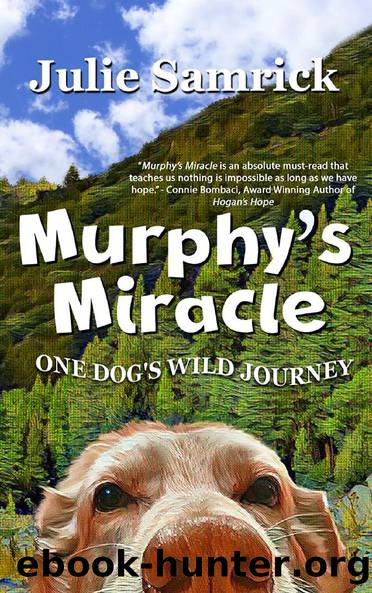 Murphy's Miracle by Julie Samrick