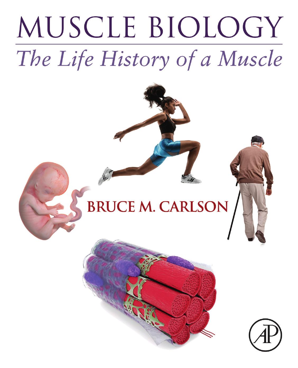 Muscle Biology: The Life History of a Muscle by Bruce Carlson