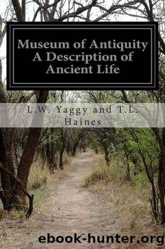 Museum of Antiquity by T. L. (Thomas Louis) Haines