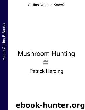Mushroom Hunting by Patrick Harding