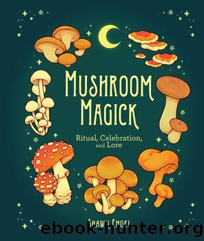 Mushroom Magick by Shawn Engel