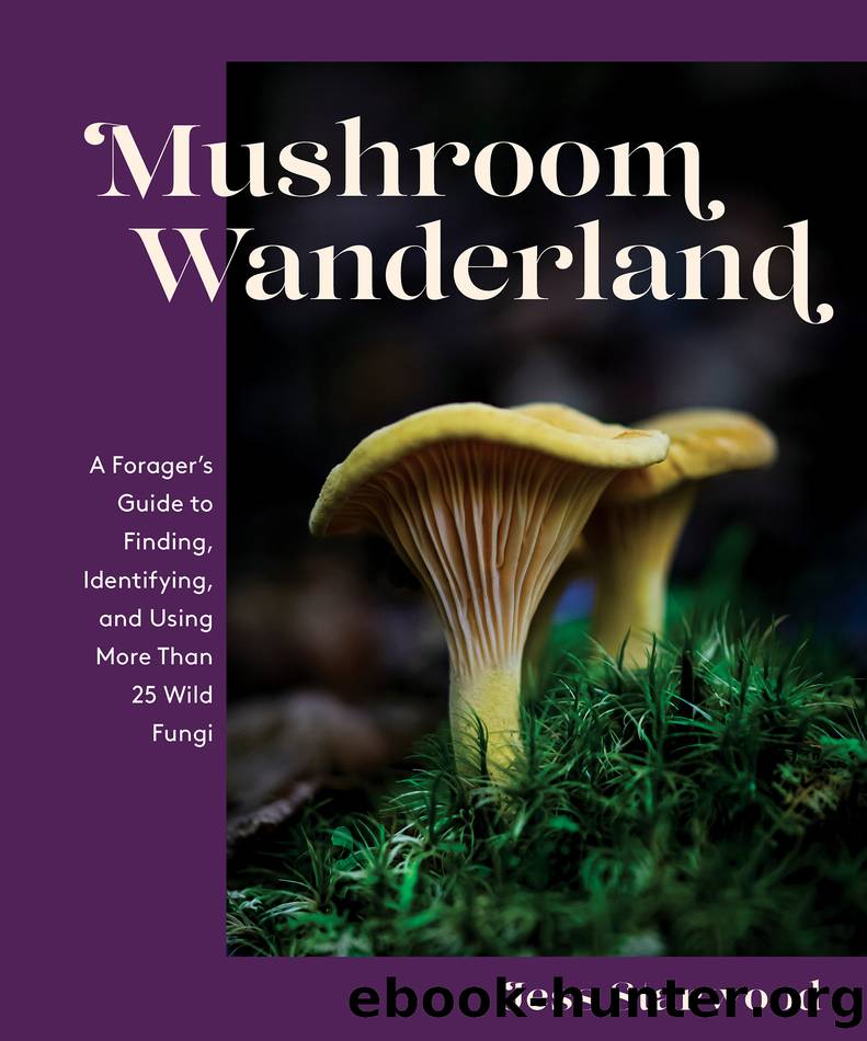 Mushroom Wanderland by Jess Starwood