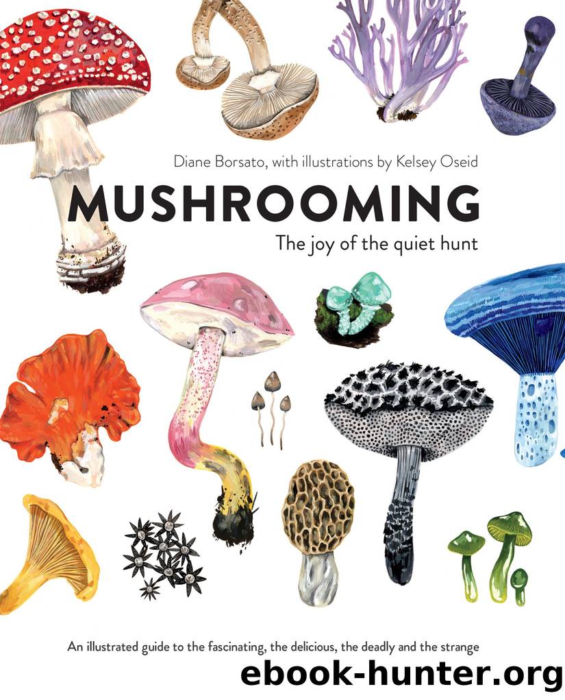 Mushrooming by Diane Borsato