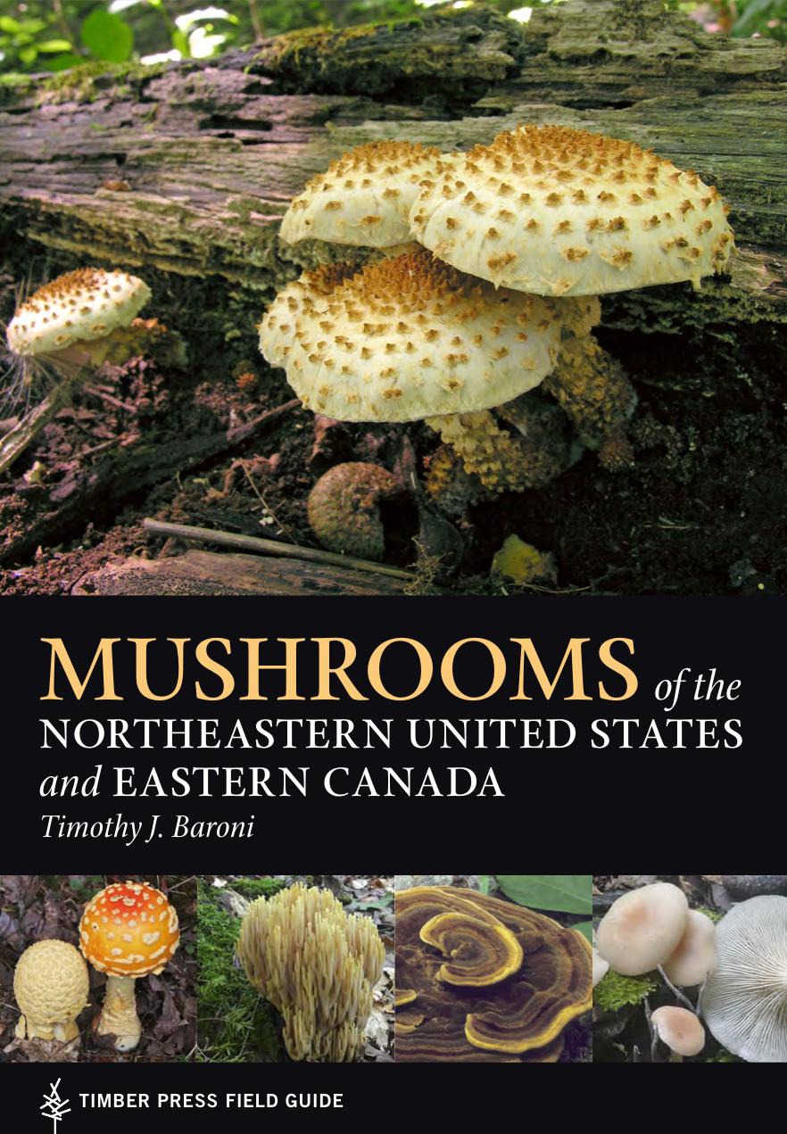 Mushrooms of the Northeastern United States and Eastern Canada by Timothy J. Baroni