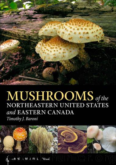Mushrooms of the Northeastern United States and Eastern Canada: Timber Press Field Guide (A Timber Press Field Guide) by Timothy J. Baroni