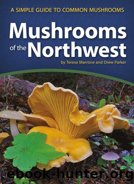 Mushrooms of the Northwest by Marrone Teresa; Parker Drew;