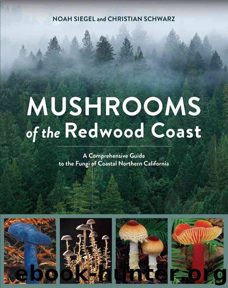 Mushrooms of the Redwood Coast by Noah Siegel