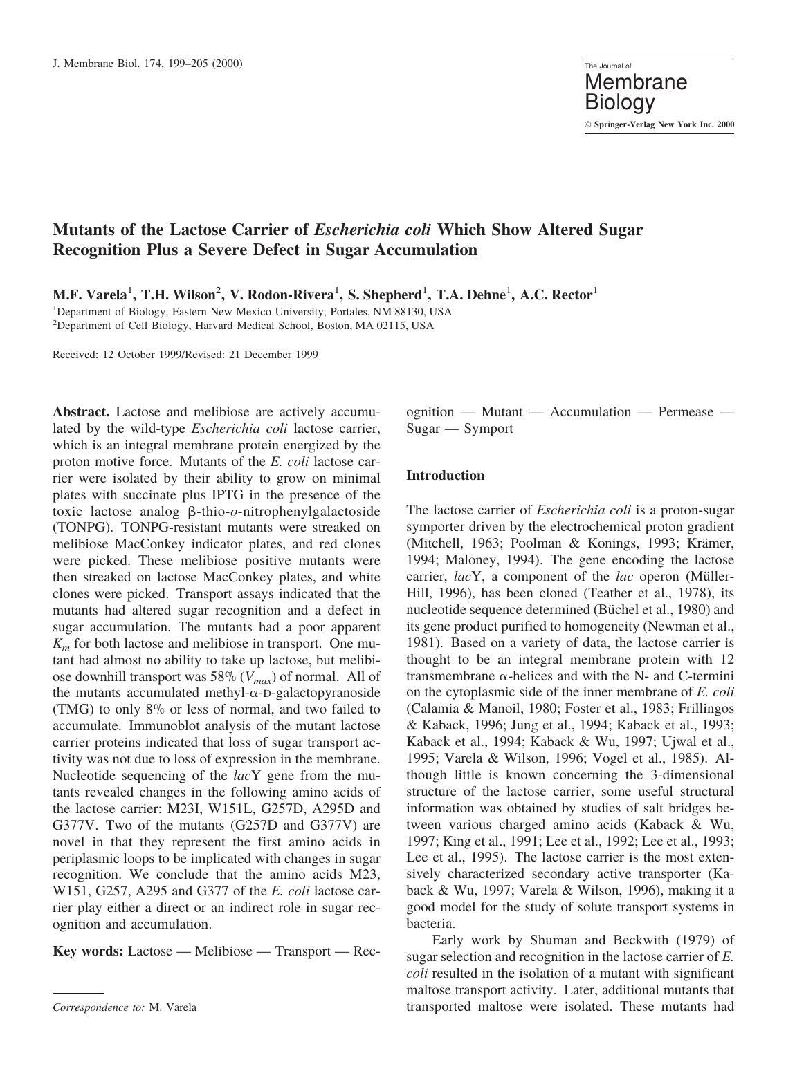 Mutants of the Lactose Carrier of Escherichia coli Which Show Altered Sugar Recognition Plus a Severe Defect in Sugar Accumulation by Varela M. et al