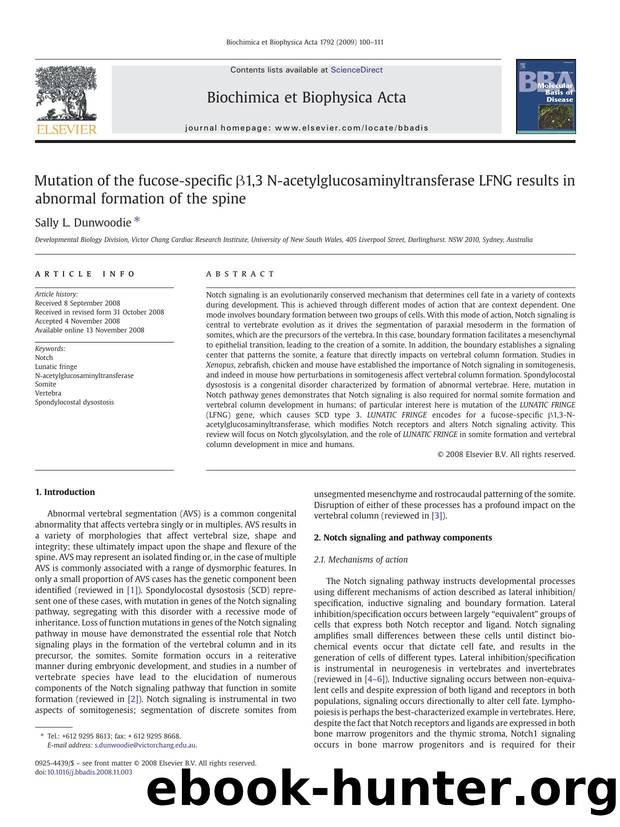 Mutation of the fucose-specific Î²1,3 N-acetylglucosaminyltransferase LFNG results in abnormal formation of the spine by Sally L. Dunwoodie