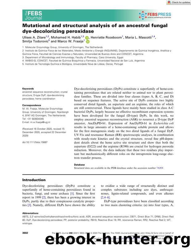 Mutational and structural analysis of an ancestral fungal dyeâdecolorizing peroxidase by Unknown