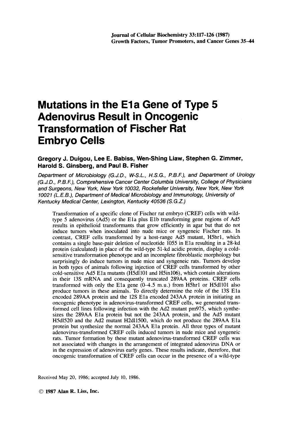 Mutations in the E1a gene of type 5 adenovirus result in oncogenic transformation of fischer rat embryo cells by Unknown