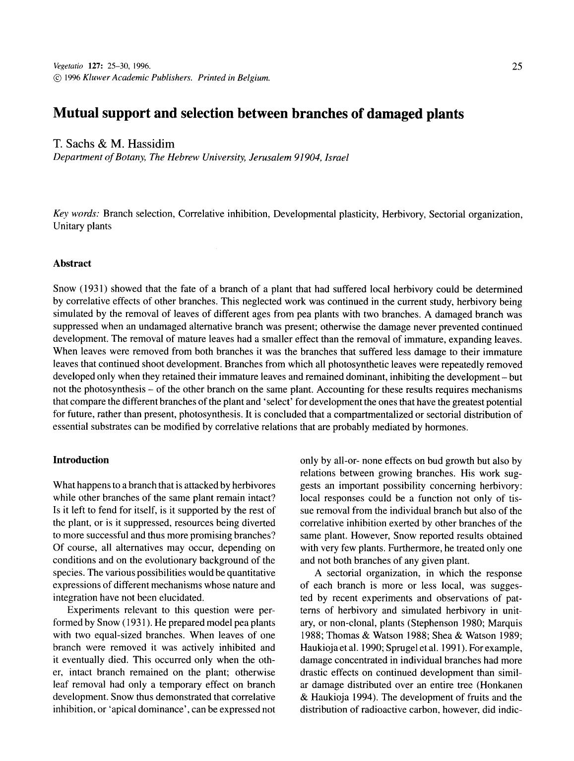 Mutual support and selection between branches of damaged plants by Unknown
