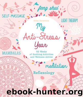 My Anti-Stress Year by Gilles Diederichs