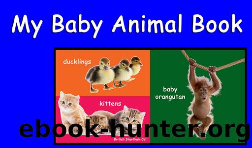 My Baby Animal Book by Shannon Hale