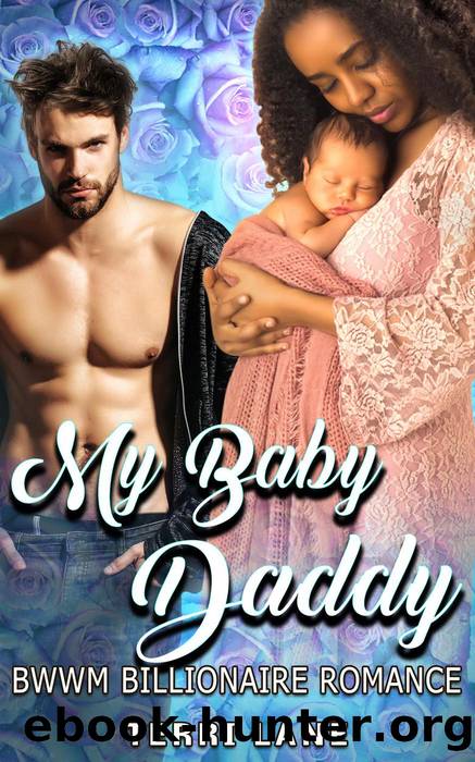 My Baby Daddy : BWWM Billionaire Romance by Terri Lane