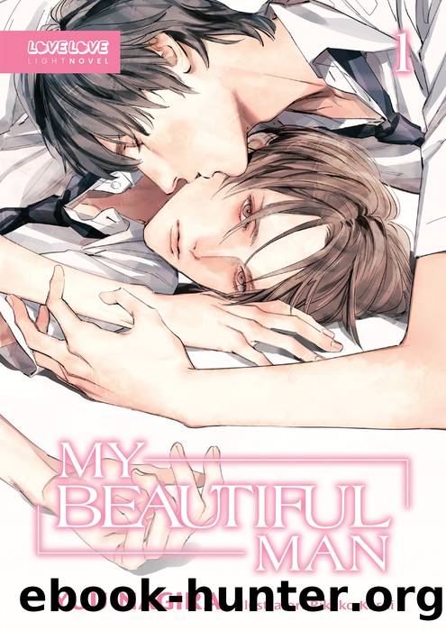 My Beautiful Man, Volume 1 (Light Novel) by Yuu Nagira