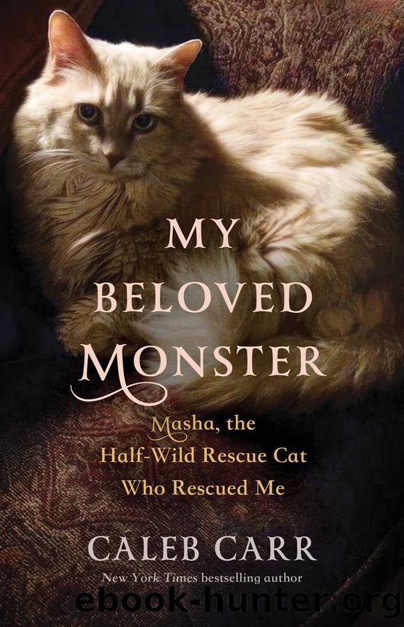 My Beloved Monster by Caleb Carr