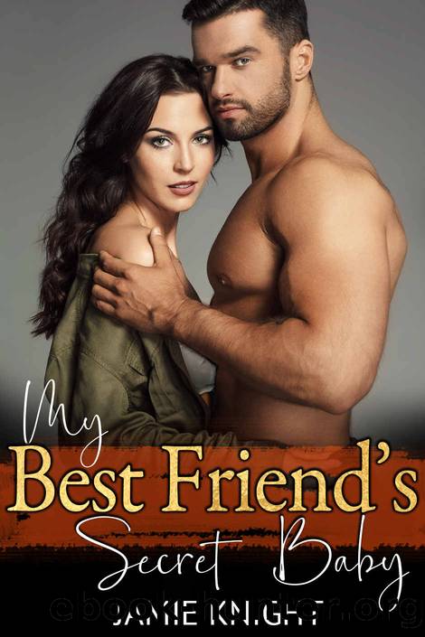 My Best Friend's Secret Baby (His Secret Baby Book 15) by Jamie Knight
