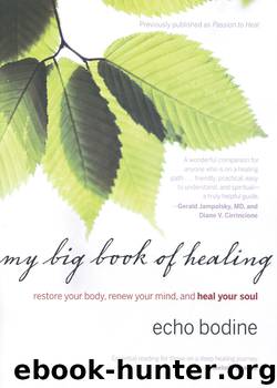 My Big Book of Healing by Echo Bodine