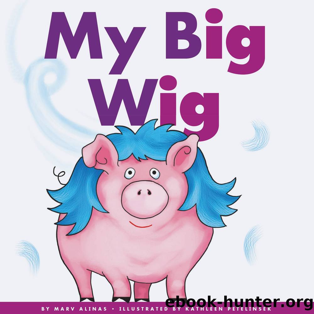 My Big Wig by Marv Alinas