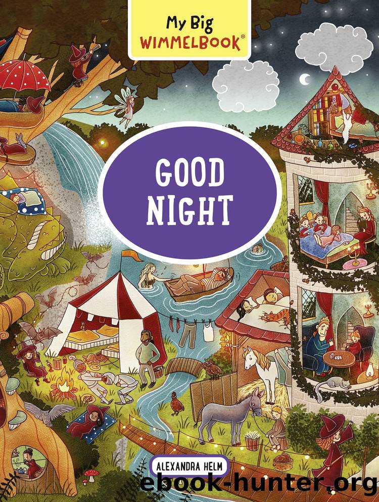 My Big WimmelbookâGood Night by Alexandra Helm