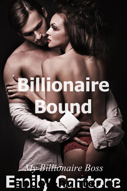 My Billionaire Boss book 1 Billionaire Bound by Emily Cantore