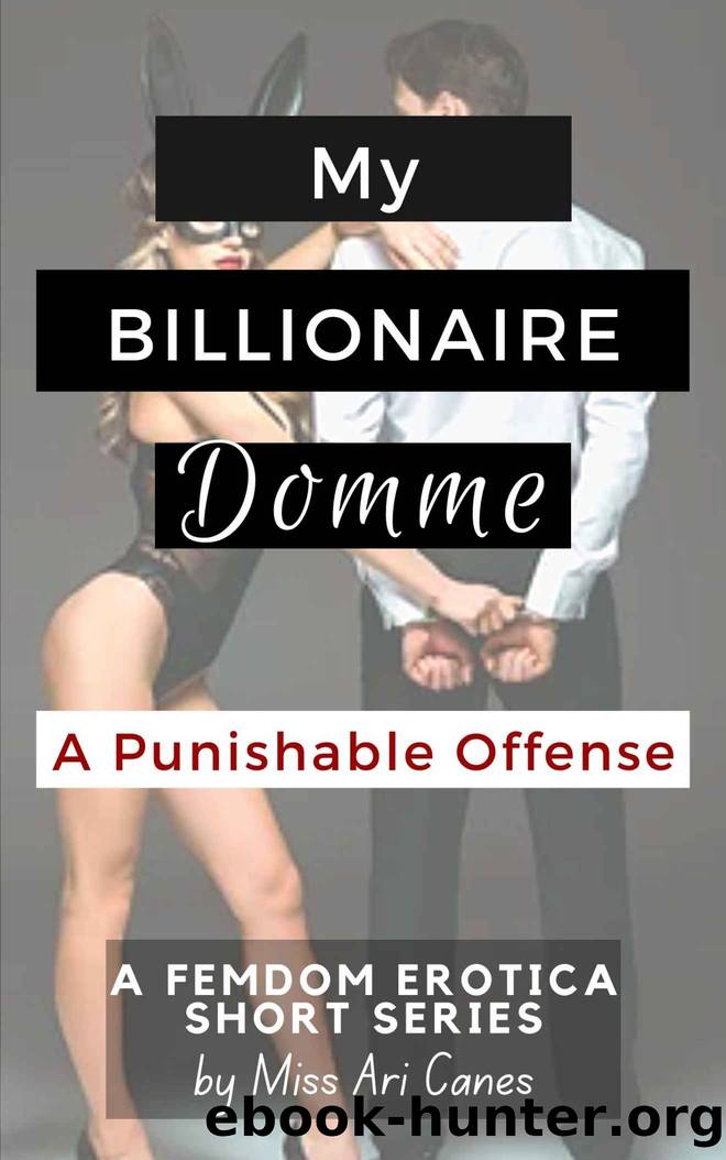 My Billionaire Domme: A Punishable Offense by Miss Ari Canes