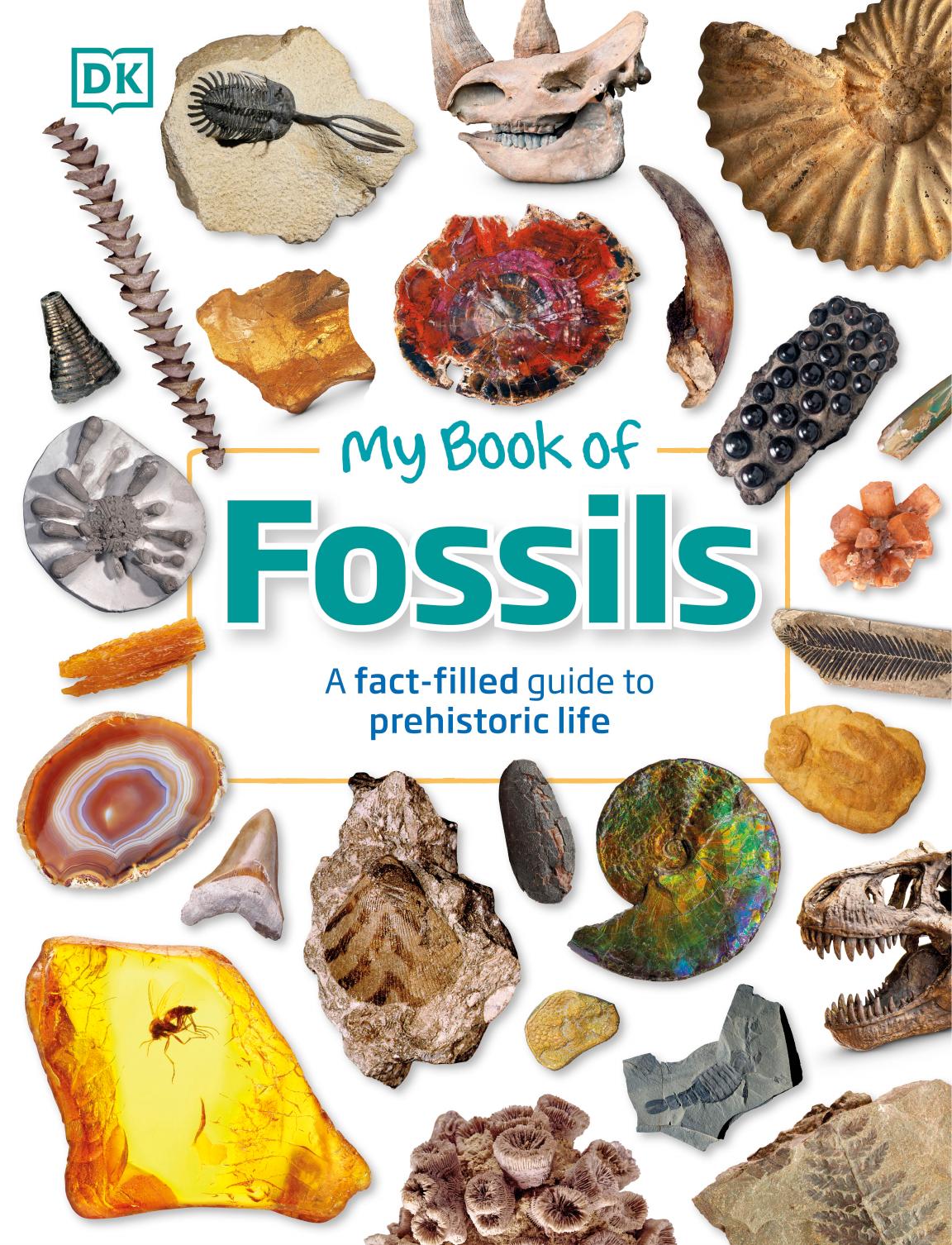 My Book of Fossils: A fact-filled guide to prehistoric life by Dorling Kindersley