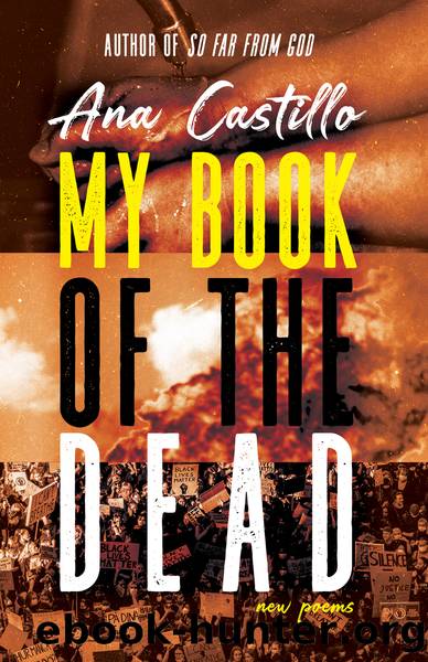 My Book of the Dead by Ana Castillo