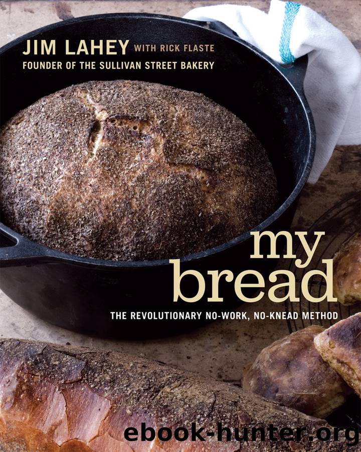 My Bread by Jim Lahey