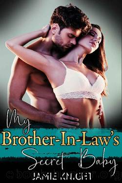 My Brother-In-Law's Secret Baby (His Secret Baby Book 12) by Jamie Knight