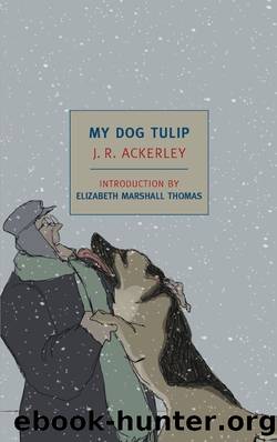 My Dog Tulip (New York Review Books Classics) by J.R. Ackerley