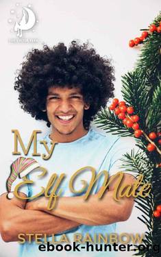 My Elf Mate: A Holiday MM Romance (Elves After Dark Book 6) by Stella Rainbow