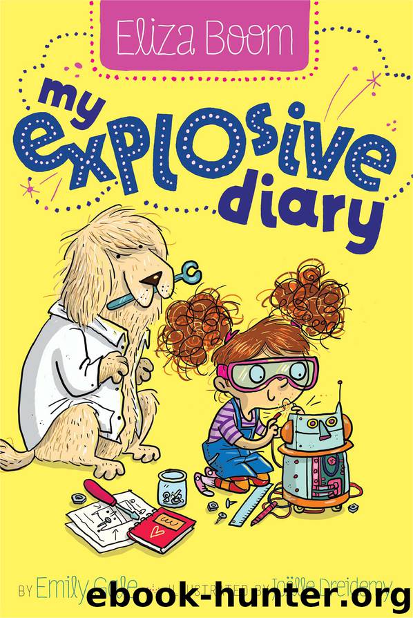 My Explosive Diary by Emily Gale