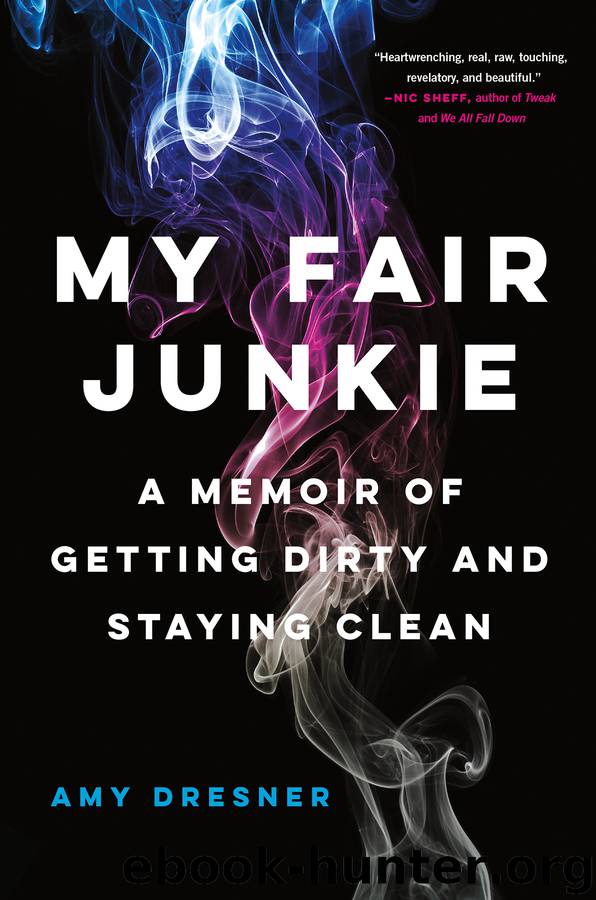 My Fair Junkie by Amy Dresner