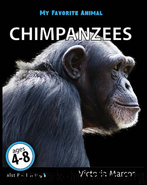 My Favorite Animal Chimpanzees by Victoria Marcos