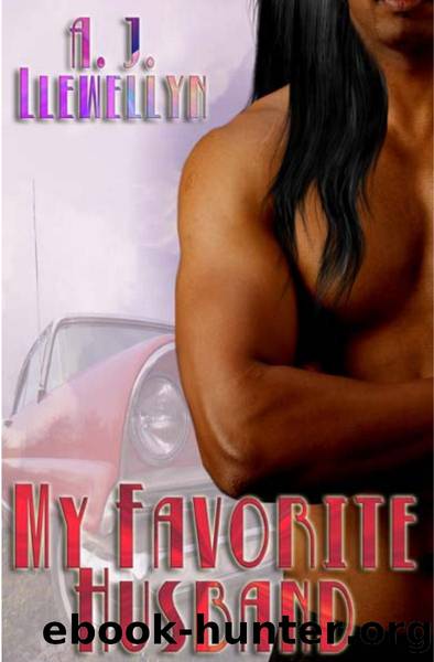 My Favorite Husband by A. J. Llewellyn