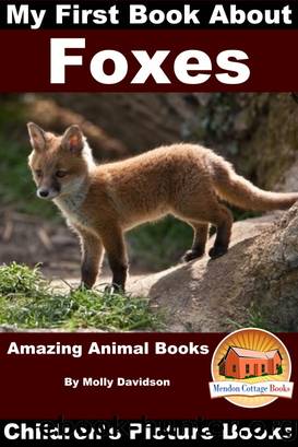 My First Book about Foxes by Molly Davidson